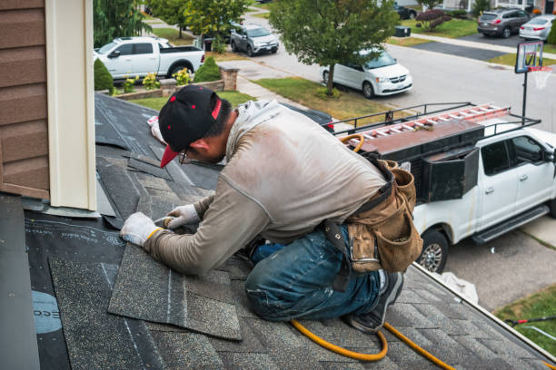 Professional Storm Damage Roof Repair technician working in Westfield, PA